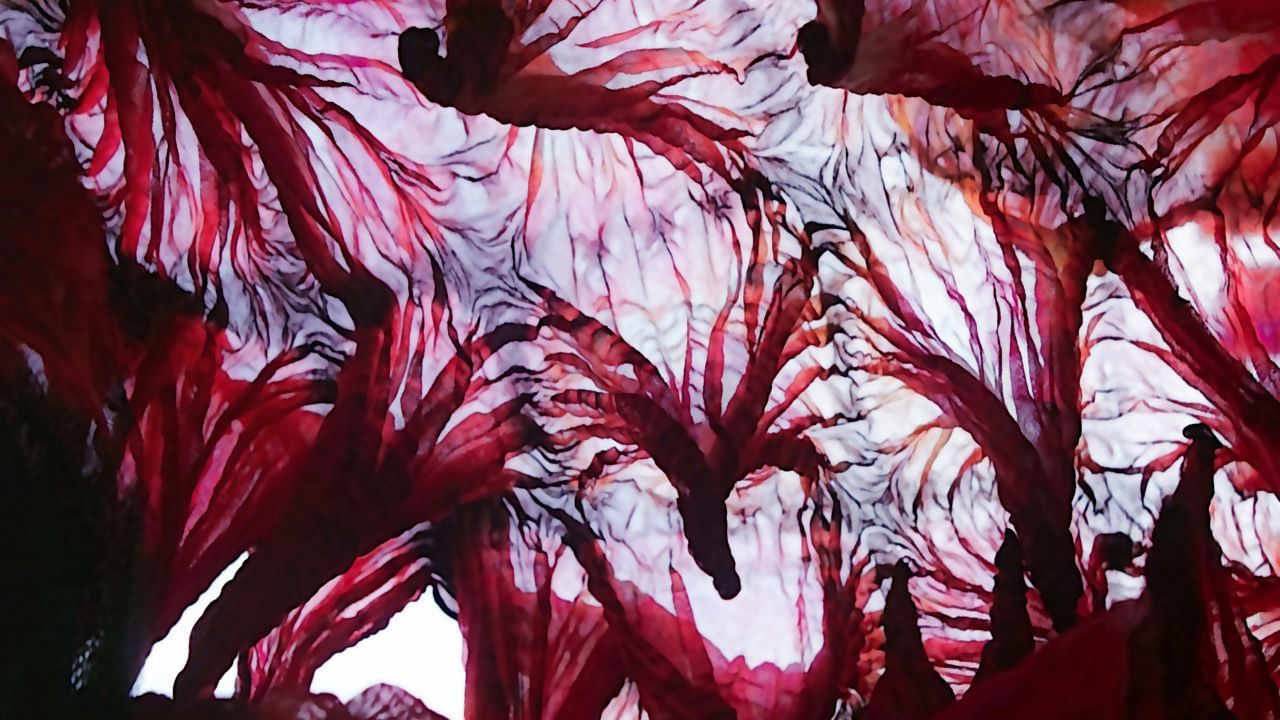 Gynecologist Tips (3)