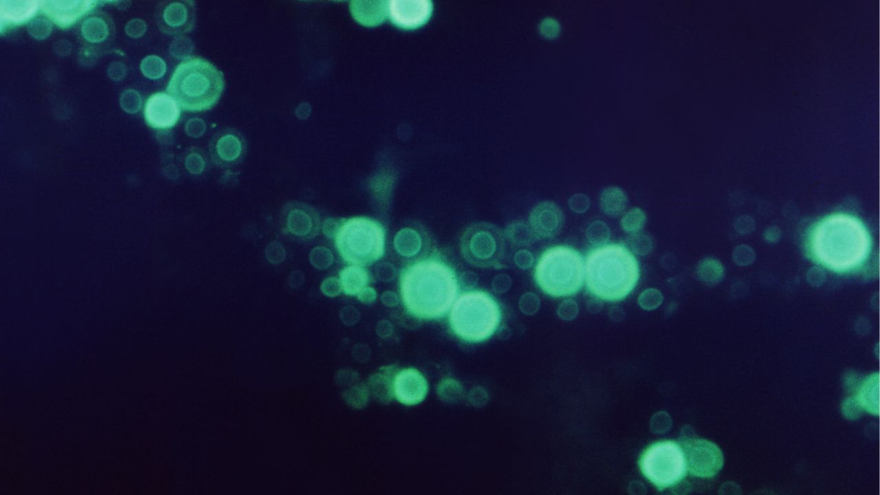 Gynecologist Tips (4)