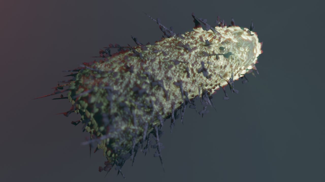 Gynecologist Tips (6)