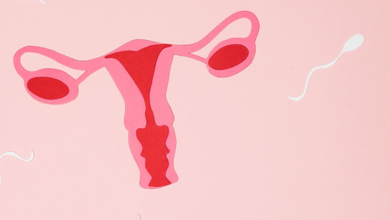 Gynecologist Tips (6)