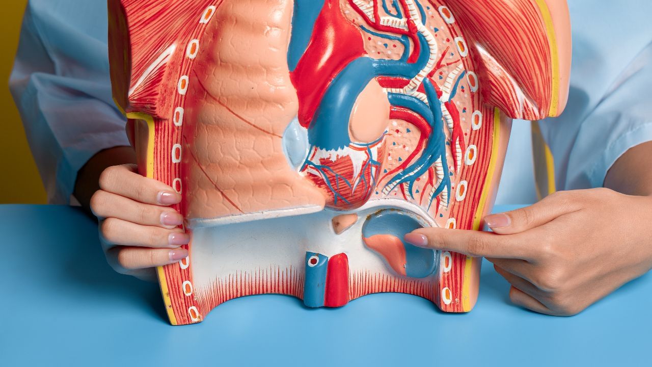 પેશાબના હેલ્ધી રુટિનની જો આપણે વાત કરીએ તો.દર 3-4 કલાકે પેશાબ કરો.પુષ્કળ પાણી પીઓ અને હાઇડ્રેટેડ રહો.નિયમિત કસરત કરો અને પેલ્વિક ફ્લોર કસરતો કરો. તમારા શરીરના સંકેતોને સમજો અને સમયસર પેશાબ કરો.પેશાબ રોકી રાખવાની આદત ટાળો, તમારા શરીરના સંકેતોને સમજો અને સમયસર પેશાબ જાઓ.