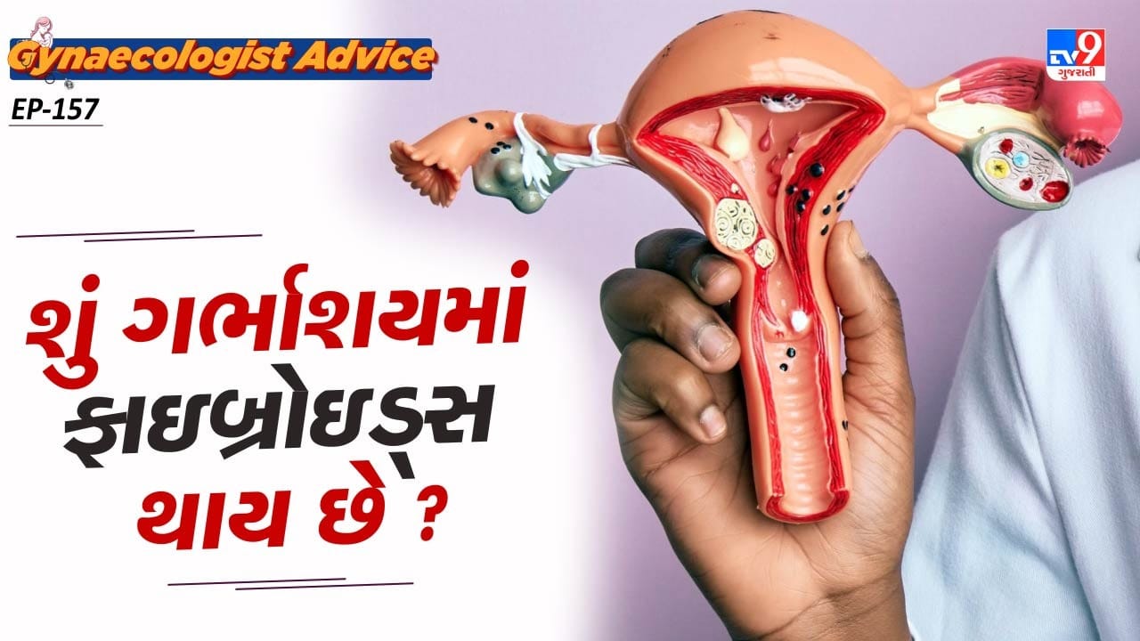 કેટલીક મહિલાઓને ફાઇબ્રોઇડ્સને કારણે ગર્ભપાત થઈ શકે છે. ચાલો ગાયનેકોલોજિસ્ટ પાસેથી પ્રેગ્નન્સી દરમિયાન ગર્ભાશય ફાઇબ્રોઇડ્સના કારણો અને મહિલાઓને કયા લક્ષણોનો અનુભવ થઈ શકે છે તે વિશે જાણીએ.