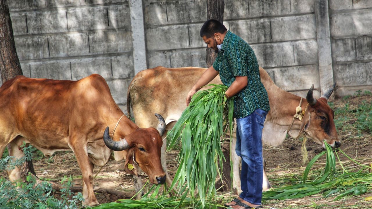 તેઓ કોલેજ વિદ્યાર્થી સંઘના મહાસચિવ પદ માટે ચૂંટણી લડ્યા અને બિનહરીફ ચૂંટાયા હતા. 2013માં, તેમણે બેચલર ઓફ કોમર્સ (બી.કોમ.) ડિગ્રી મેળવી હતી.