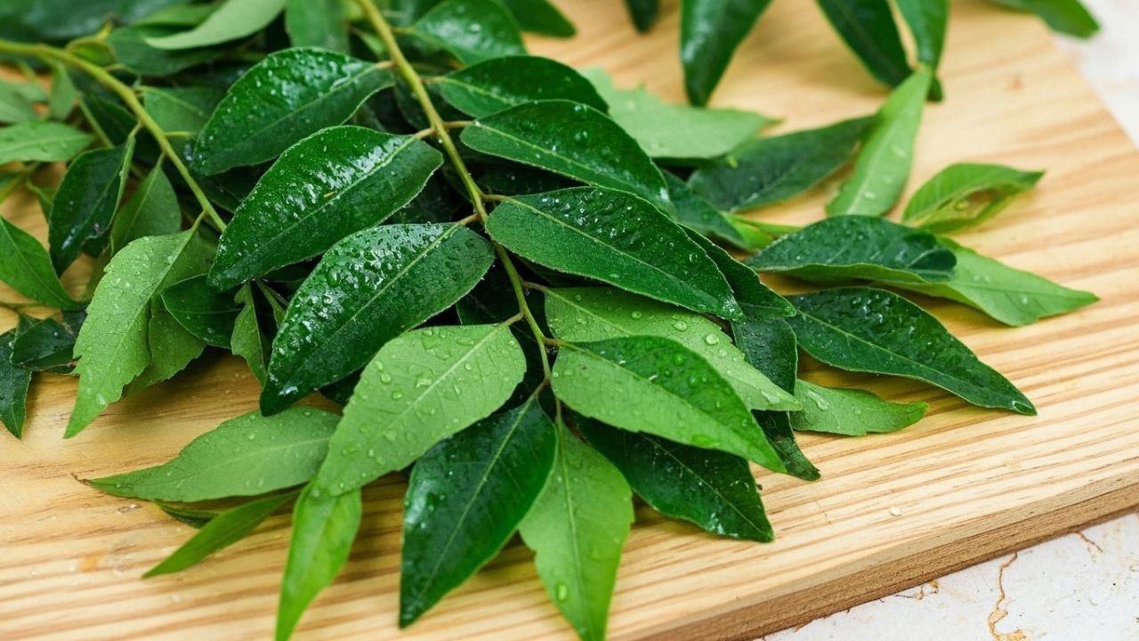 મીઠો લીમડો 'આયર્ન અને ફોલિક' એસિડનો સારો સ્ત્રોત છે. હિમોગ્લોબિન બનાવવા માટે આયર્ન જરૂરી છે, જ્યારે ફોલિક એસિડ રેડ બ્લડ સેલ્સ બનાવવામાં મદદ કરે છે. આથી, સવારે ખાલી પેટ મીઠા લીમડાના પત્તા ચાવવા એ ખાસ કરીને એનિમિયાથી પીડિત લોકો માટે ફાયદાકારક હોઈ શકે છે.