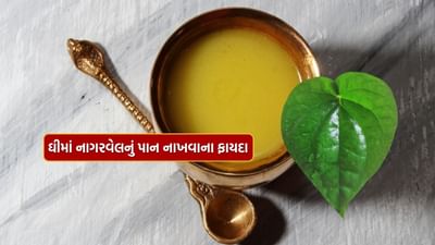દેશી ઘી આપણા ભારતીય આહારનો એક મહત્વપૂર્ણ ભાગ છે. રસોઈથી લઈને ખોરાકમાં ઉમેરવા સુધી, તેનો ઉપયોગ ઘણી રીતે થાય છે. આજે પણ, મોટાભાગની સ્ત્રીઓ ઘરે ઘી બનાવવાનું પસંદ કરે છે કારણ કે ઘરે બનાવેલ ઘી વધુ શુદ્ધ, તાજુ અને સુગંધિત હોય છે, અને તેના સ્વાસ્થ્ય લાભો પણ હોય છે.