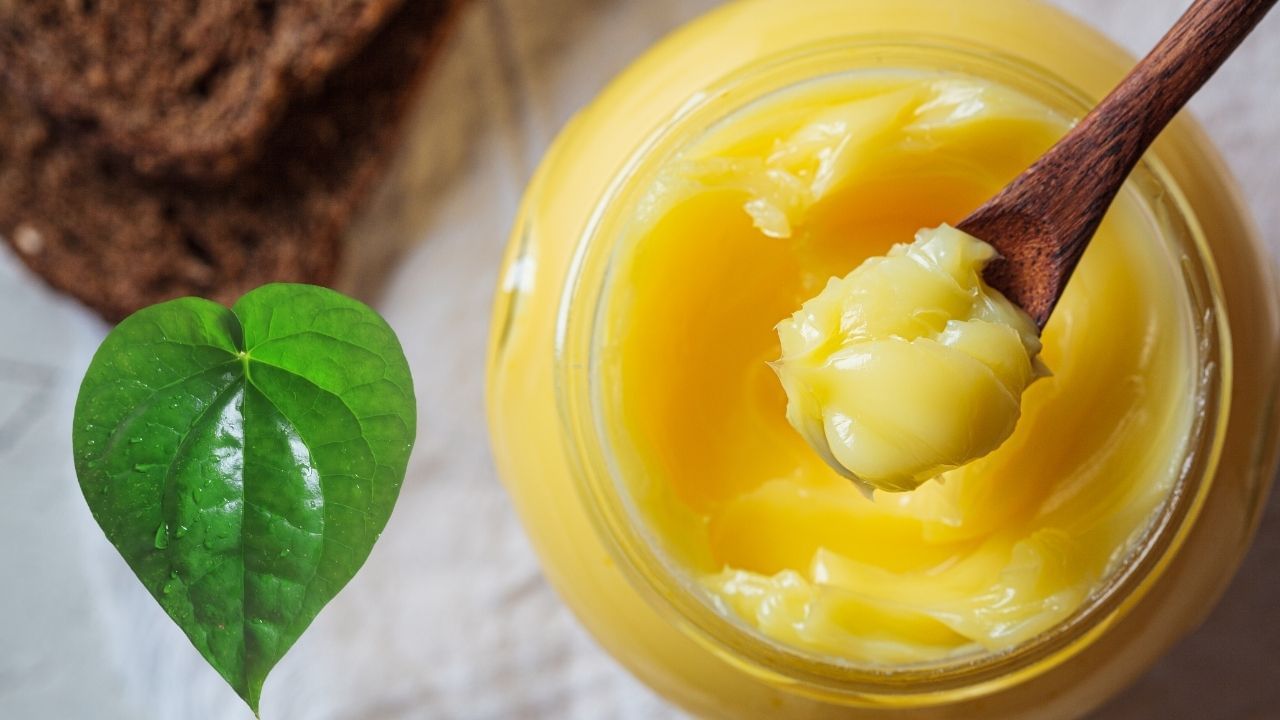 ઘી બનાવતી વખતે નાગરવેલના પાન જેવી ઘણી વસ્તુઓનો ઉપયોગ થાય છે. કેટલાક લોકો કરી પત્તા, થોડા મેથીના દાણા, કેટલાક મોરિંગાના પાન, અન્ય કેસર અથવા થોડી હળદર ઉમેરે છે. આ બધા ઘટકો ઘીને માત્ર એક અનોખો સ્વાદ અને સુગંધ આપતા નથી, પરંતુ તેના ગુણધર્મોને પણ વધારે છે.(નોંધ : અહીં આપવામાં આવેલી માહિતી ફક્ત આપની જાણકારી માટે છે.)