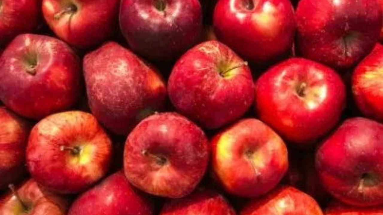 સફરજનમાં કેલરી, કાર્બોહાઇડ્રેટ્સ, ફાઇબર અને વિટામિન સી જેવા પોષક તત્વો હોય છે. સફરજનમાં પોટેશિયમ પણ હોય છે. તેથી, એવું કહેવાય છે કે દરરોજ એક સફરજન ખાવું સારા સ્વાસ્થ્ય માટે જરૂરી છે. જો કે, આજે બજારમાં ઘણા રાસાયણિક પ્રક્રિયા વાળા સફરજન ઉપલબ્ધ છે.