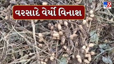 Jamanagar : ખેડૂતોના મોંઢામાંથી કોળીયો છીનવાયો ! કમોસમી વરસાદ વરસતા મગફળી અને કપાસનો પાક બગડ્યો, જુઓ Video