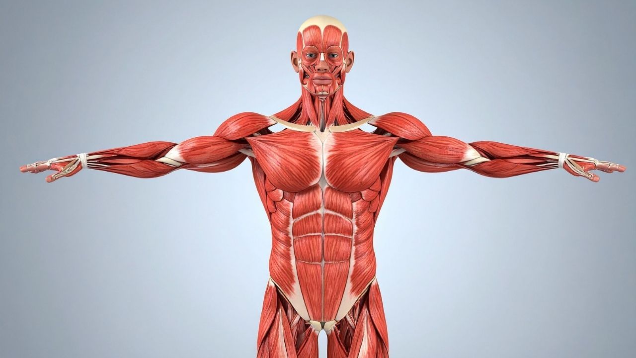 જોકે, દરેક ખાદ્ય પદાર્થને તેના સ્વભાવ અને યોગ્ય ઋતુમાં આહારમાં સામેલ કરવો જોઈએ, નહીં તો તે સ્વાસ્થ્ય માટે હાનિકારક હોઈ શકે છે. અજમા અને જીરું પાણી માટે પણ આવું જ છે.