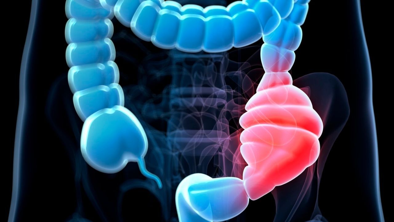 પીરિયડ્સ દરમિયાન પેટના દુખાવામાં રાહત મળે છે. જો કે, ઉનાળામાં તેને ટાળવું જોઈએ, કારણ કે તે એસિડિટી વધારી શકે છે.