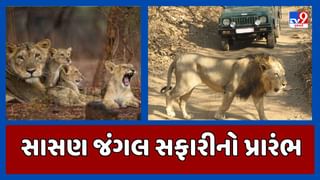 આજથી સાસણ જંગલ સફારીનો પ્રારંભ, 9 દિવસ વહેલા ખોલી દેવામાં આવી સફારી, 10 ઓક્ટોબરે રાષ્ટ્રપતિ દ્રોપદી મૂર્મુ લેશે મુલાકાત