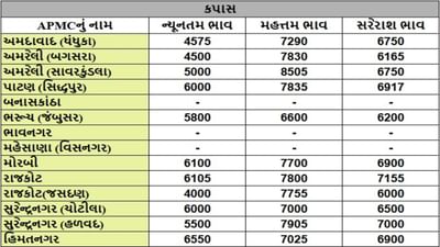 કપાસના તા.07-10-2025ના રોજ APMCના ભાવ રૂ.4000 થી 8505 રહ્યા.