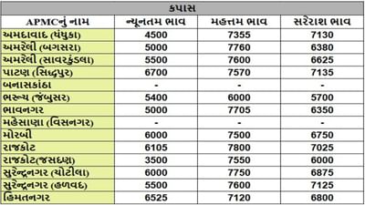 કપાસના તા.14-10-2025ના રોજ APMCના ભાવ રૂ.3500 થી 7800 રહ્યા.