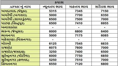 કપાસના તા.15-10-2025ના રોજ APMCના ભાવ રૂ.3250 થી 7750 રહ્યા.