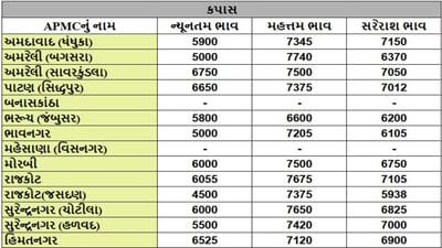કપાસના તા.16-10-2025ના રોજ APMCના ભાવ રૂ.4500 થી 7740 રહ્યા.
