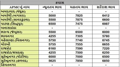 કપાસના તા.02-10-2025ના રોજ APMCના ભાવ રૂ.4255 થી 7875 રહ્યા.