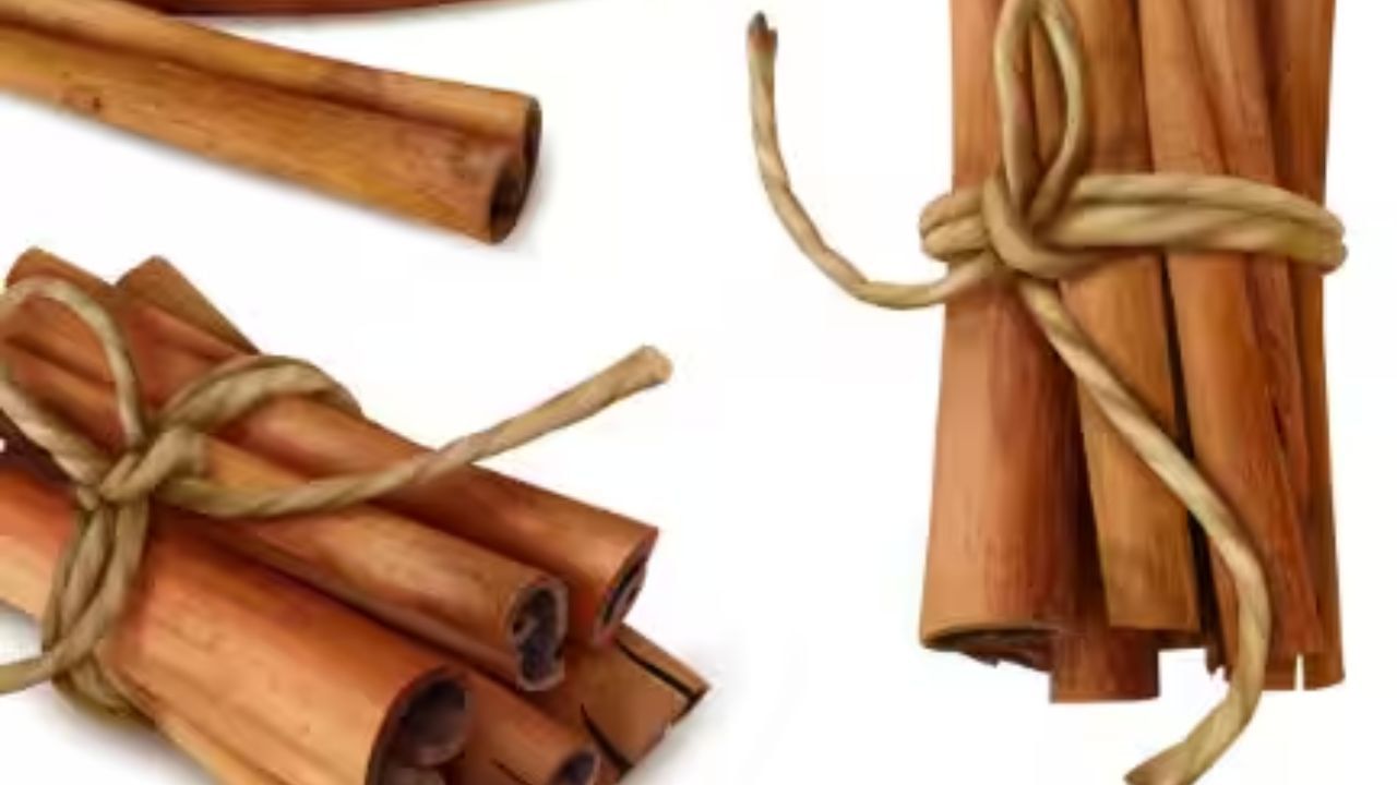 તજ અને લવિંગની સુગંધ: પાણીમાં થોડી તજ અને લવિંગ ઉકાળો અને તેને રસોડામાં રાખો. તેની સુગંધ દુર્ગંધ દૂર કરે છે. તેનો ઉપયોગ કુદરતી રૂમ ફ્રેશનર તરીકે કરો.
