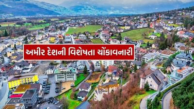 દેશની સફળતા ઘણીવાર તેની લશ્કરી તાકાત, જમીન વિસ્તાર અથવા આર્થિક સ્વતંત્રતા દ્વારા માપવામાં આવે છે. જો કે, એક નાનો યુરોપિયન દેશ લિક્ટેંસ્ટાઇન આ ધારણાને સંપૂર્ણપણે ઉલટાવી દે છે. આ દેશ તેના મર્યાદિત સંસાધનો હોવા છતાં માત્ર સમૃદ્ધ નથી, પરંતુ તેને વિશ્વના સૌથી સ્થિર અને શ્રીમંત દેશોમાંનો એક પણ માનવામાં આવે છે.