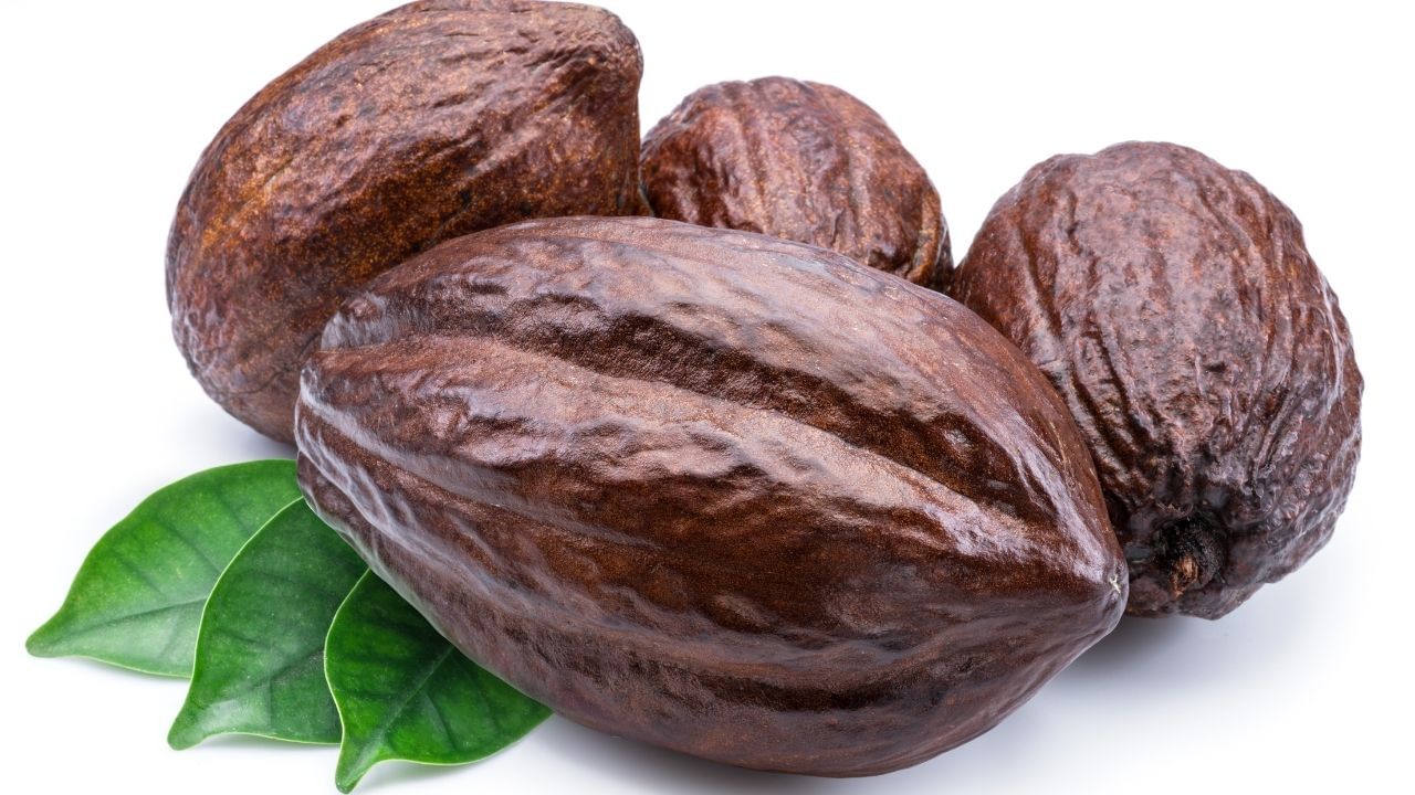 કોકો બટર પણ કુદરતી રીતે હોઠને નરમ બનાવે છે. આ કરવા માટે, કોકો બટરને બોઈલરમાં ઓગાળો અને નાળિયેર તેલ ઉમેરો. છેલ્લે, લીંબુના આવશ્યક તેલના થોડા ટીપાં ઉમેરો અને મિક્સ કરો.