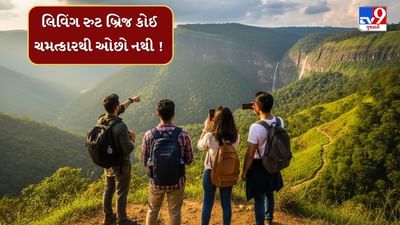 દિવાળી વેકેશનમાં ફરવા જઈ રહ્યા છો ? તો આ લિવિંગ રુટ બ્રિજની મુલાકાત અવશ્ય લેજો