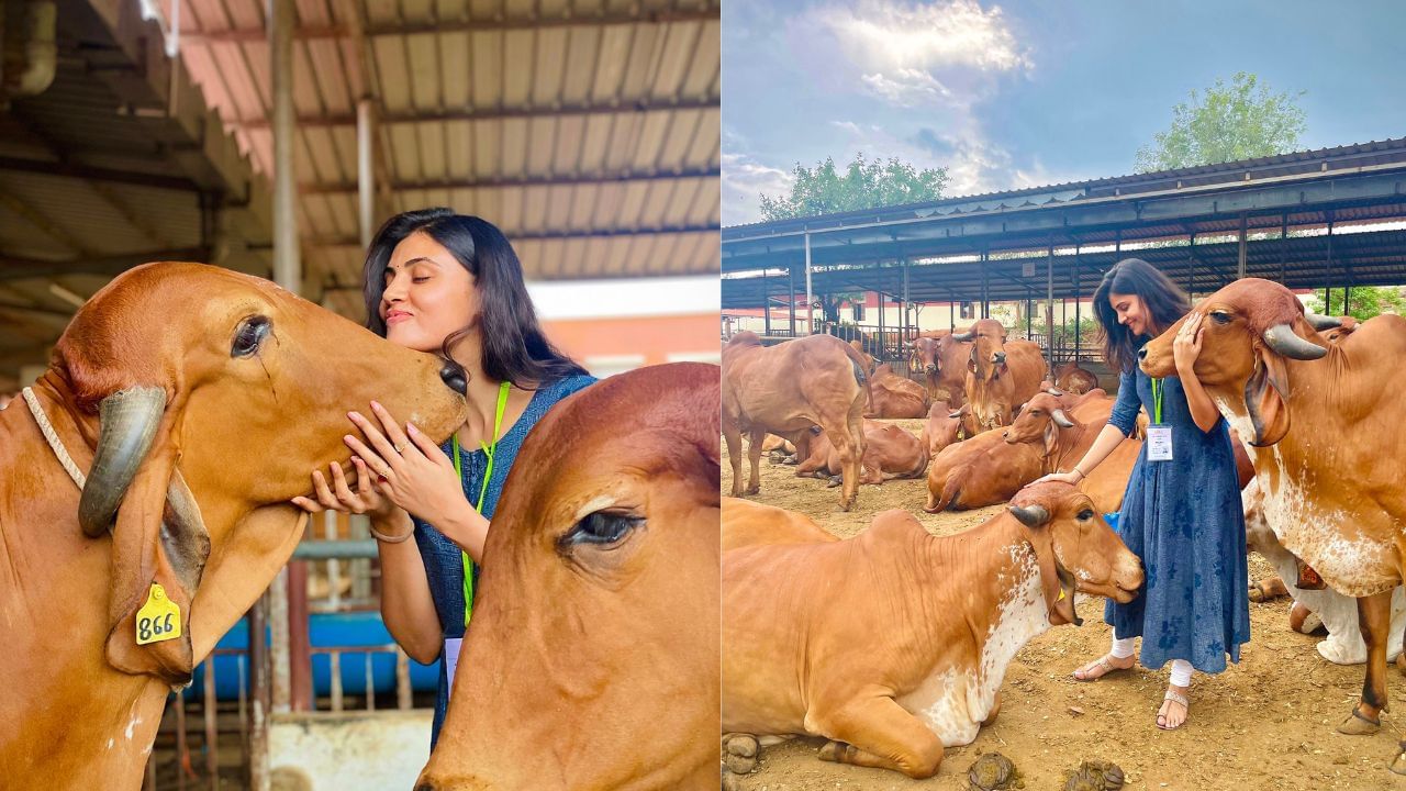 મોડલિંગ અને એક્ટિંગમાં નામ કમાયા બાદ તેમણે અનિલ શર્મા નિર્દેશિત ફિલ્મ જીનિયસમાં રો એજન્ટની ભૂમિકા નિભાવી હતી.