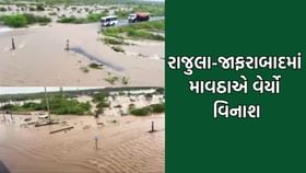 રાજુલામાં ખાબક્યો 7 ઈંચ વરસાદ તો રાજ્યના 137 તાલુકામાં વરસાદ