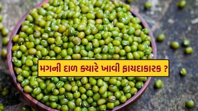લીલી મગની દાળમાં વિટામિન બી કોમ્પ્લેક્સ, વિટામિન સી, વિટામિન એ, પ્રોટીન અને અન્ય ઘણા પોષક તત્વો હોય છે. તેથી, તે વિવિધ સ્વાસ્થ્ય લાભો પ્રદાન કરે છે.