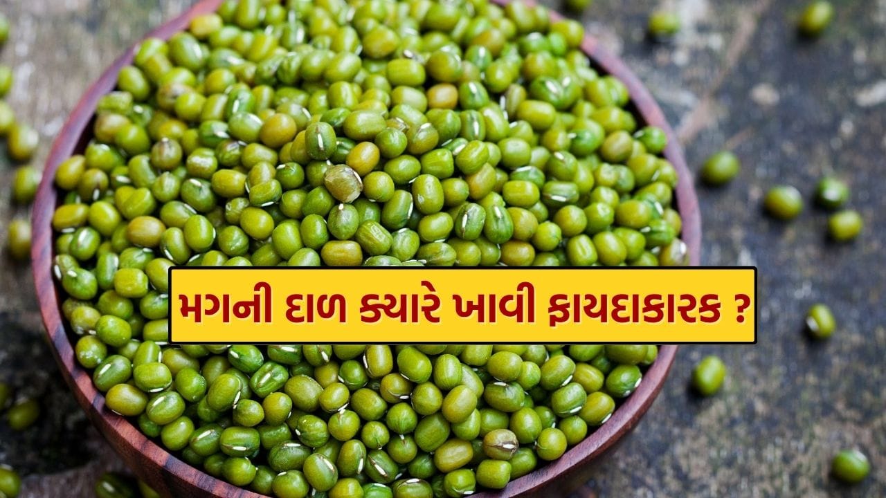 લીલી મગની દાળમાં વિટામિન બી કોમ્પ્લેક્સ, વિટામિન સી, વિટામિન એ, પ્રોટીન અને અન્ય ઘણા પોષક તત્વો હોય છે. તેથી, તે વિવિધ સ્વાસ્થ્ય લાભો પ્રદાન કરે છે.
