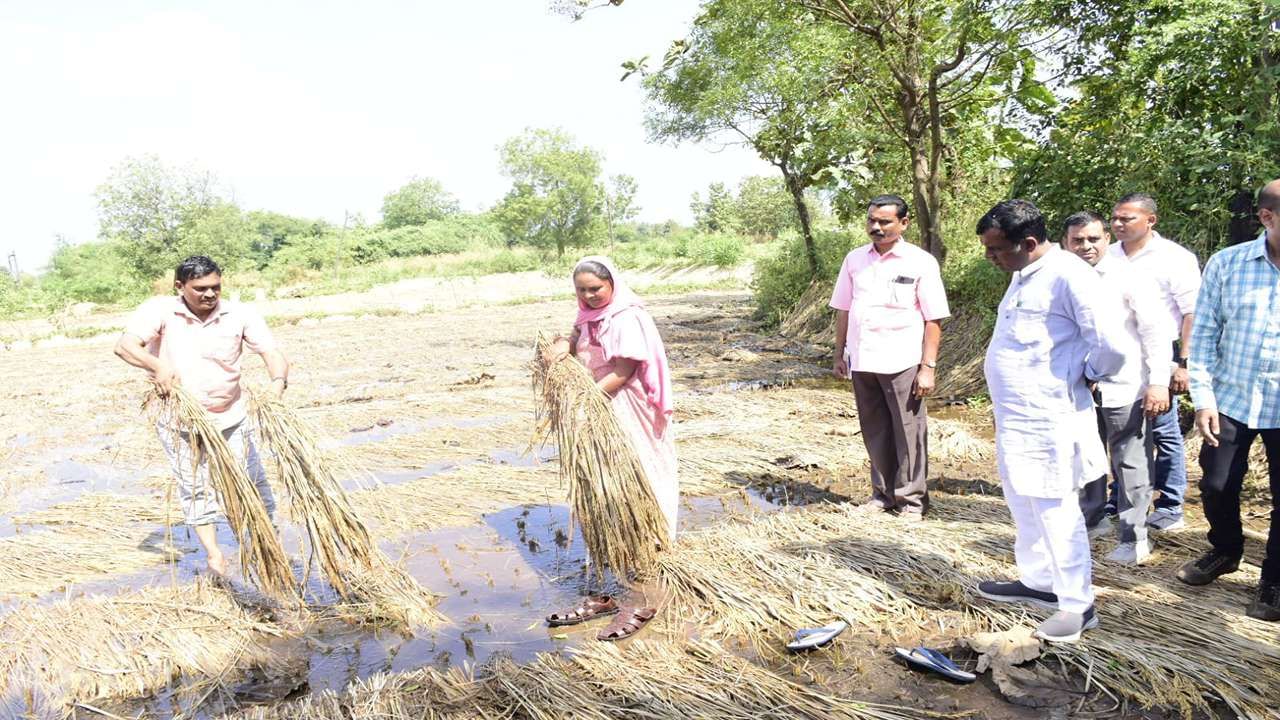 Naresh Patel Agricultural Damage Survey 1_6_11zon