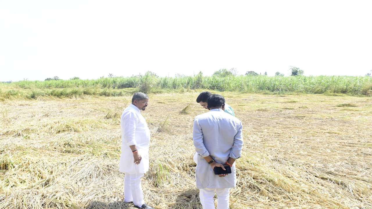 Naresh Patel Agricultural Damage Survey 3_4_11zon