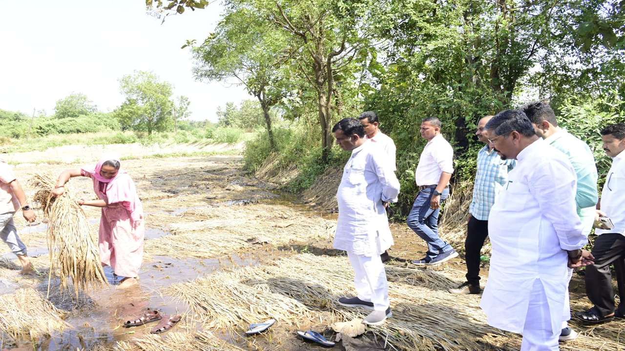 Naresh Patel Agricultural Damage Survey 4_3_11zon