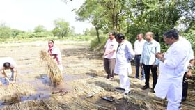 નવસારીના તમામે તમામ 355 ગામમાં માવઠાથી ભારે નુકસાની