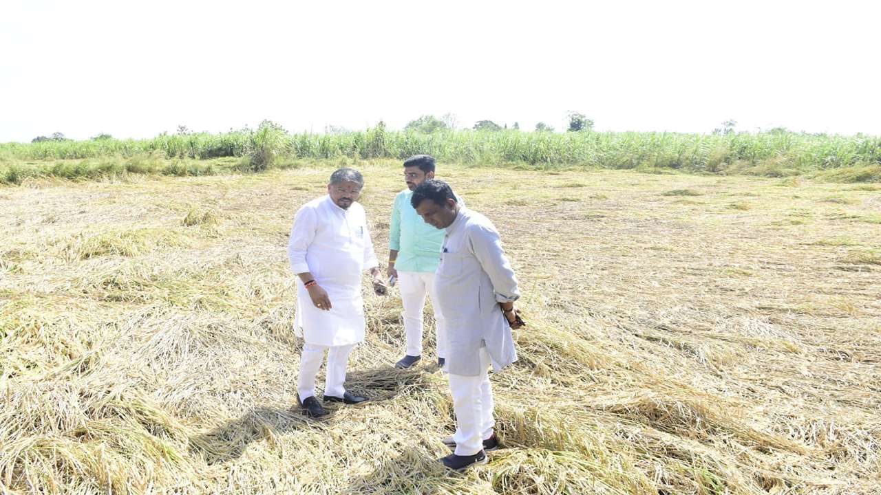 Naresh Patel Agricultural Damage Survey_7_11zon