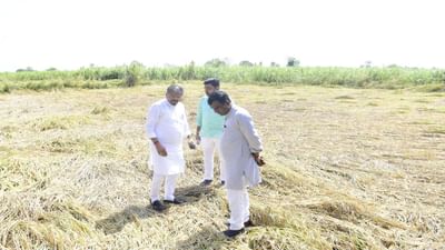 મુખ્યપ્રધાન ભૂપેન્દ્રભાઈ પટેલે, ગુજરાતમાં કમોસમી વરસાદ અંગે જિલ્લાઓની સ્થિતિનો ચિતાર મેળવવા માટે સ્થાનિક મંત્રીઓને અલગ અલગ જિલ્લાઓમા થયેલા નુક્સાન અને તંત્ર દ્વારા લેવામાં આવતા પગલાઓ ઉપર જરૂરી માર્ગદર્શન આપવા મોકલ્યા હતા. 