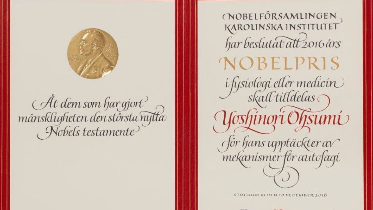 નોબેલ પુરસ્કાર વિજેતાઓને ઔપચારિક ડિપ્લોમા પણ મળે છે, જેમાં વિજેતાનું નામ અને સિદ્ધિઓ હોય છે. ડિસેમ્બરમાં સ્વીડનની રાજધાની સ્ટોકહોમમાં યોજાતા ભવ્ય અને ઔપચારિક સમારોહમાં વિજેતાઓને આમંત્રણ આપવામાં આવે છે.