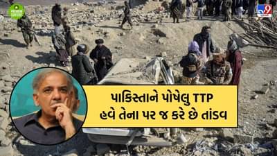 અફઘાનિસ્તાનમાં તાલિબાનની વાપસી પર એક સમયે નાચી રહેલુ પાકિસ્તાન આજે લોહીની ઉલટી કરવા કેમ મજબૂર બન્યુ?