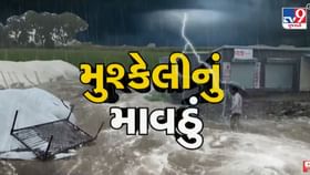 Panchmahal : કમોસમી વરસાદથી ડાંગર અને દિવેલાના પાકમાં નુકસાન