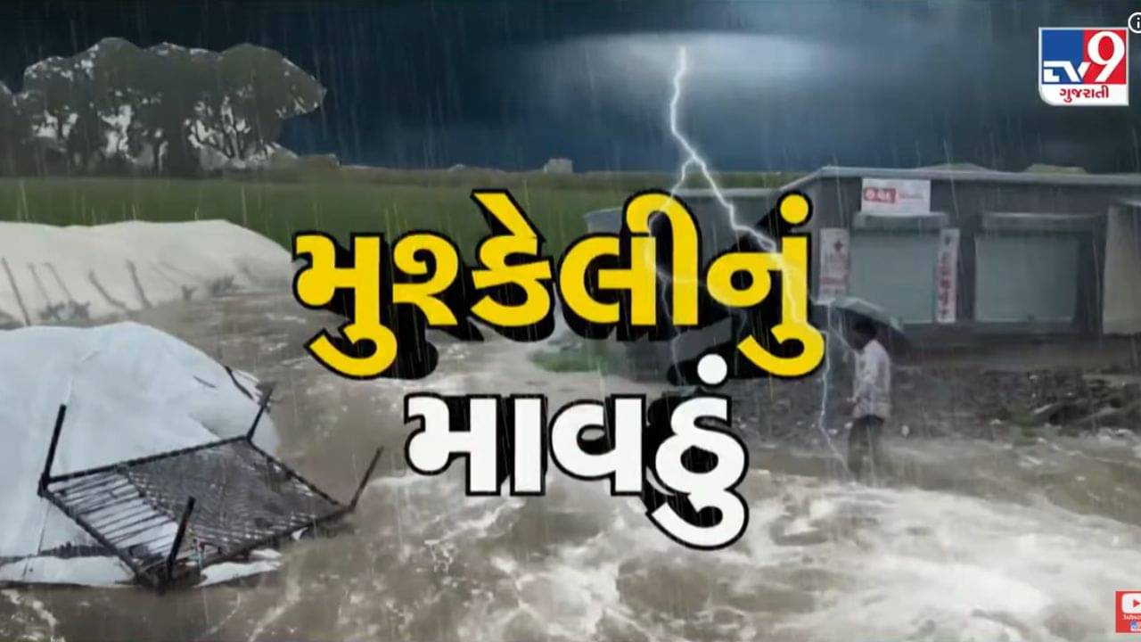 Panchmahal : કમોસમી વરસાદથી ખેડૂતોની મહેનત પર પાણી ફરી વળ્યું,સરકાર સમક્ષ પાક નુકસાનના વળતરની માગ,જુઓ Video