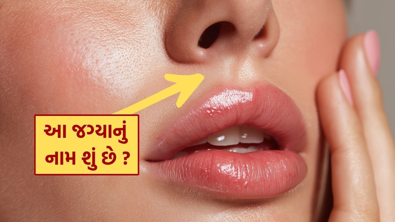 Philtrum Explained The Groove Between Your Nose and Upper Lip (7)