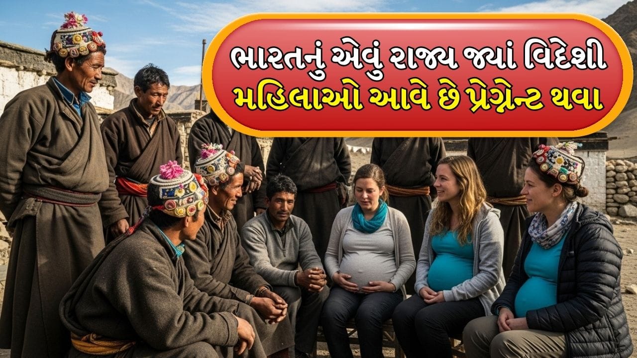 Pregnancy Tourism Ladakh: લદાખનું 'ગર્ભાવસ્થા પર્યટન' શું છે: આપણે જાણીએ છીએ કે તે વિચિત્ર લાગે છે, જોકે આજકાલ તે સામાન્ય નથી, ગર્ભાવસ્થા પ્રવાસનનો ઇતિહાસ ખૂબ જ રસપ્રદ છે. આનું કારણ સાતમી સદીમાં એલેક્ઝાન્ડર ધ ગ્રેટના ભારત પરના આક્રમણ સાથે જોડાયેલું છે. એવું માનવામાં આવે છે કે એલેક્ઝાન્ડરના ગયા પછી તેના ઘણા સૈનિકો સિંધુ ખીણમાં રહ્યા હતા.