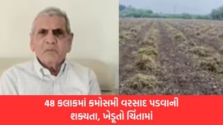 અંબાલાલ પટેલની મોટી આગાહી, રાજ્યમાં 48 કલાકમાં કમોસમી વરસાદની શક્યતા, ખેડૂતો ચિંતામાં, જુઓ Video