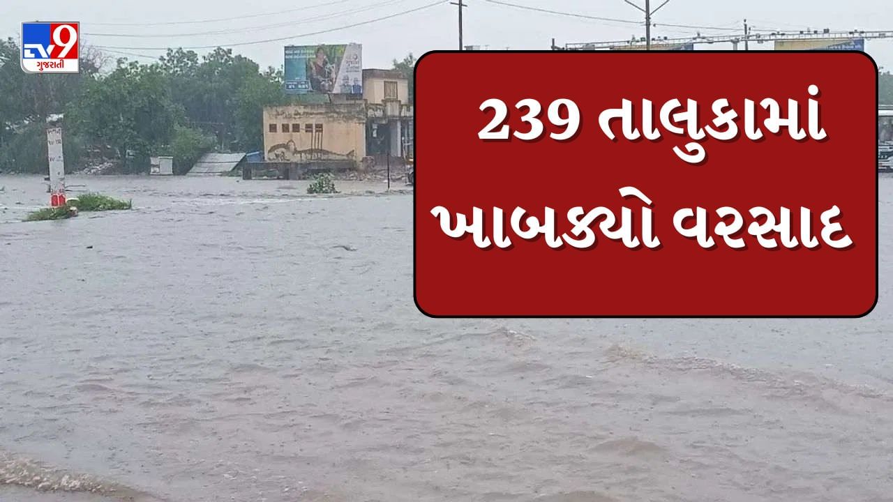 Rain News : છેલ્લા 24 કલાકમાં 239 તાલુકાઓમાં ખાબક્યો વરસાદ, સૌથી વધુ અમરેલીના રાજુલામાં 8.50 ઈંચ વરસાદ વરસ્યો, જુઓ Video