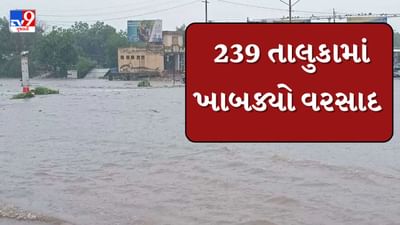 Rain News : છેલ્લા 24 કલાકમાં 239 તાલુકાઓમાં ખાબક્યો વરસાદ, સૌથી વધુ અમરેલીના રાજુલામાં 8.50 ઈંચ વરસાદ વરસ્યો, જુઓ Video