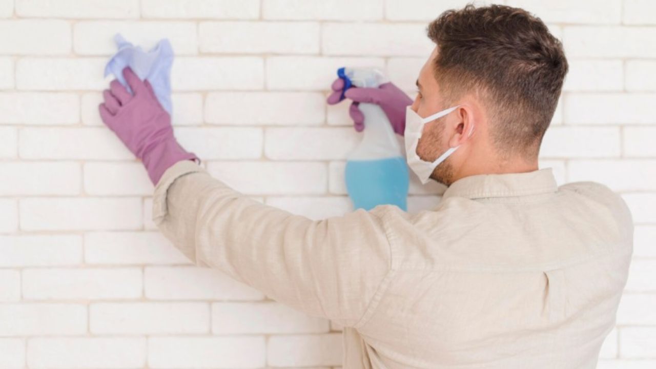 Remove wall mold without paint