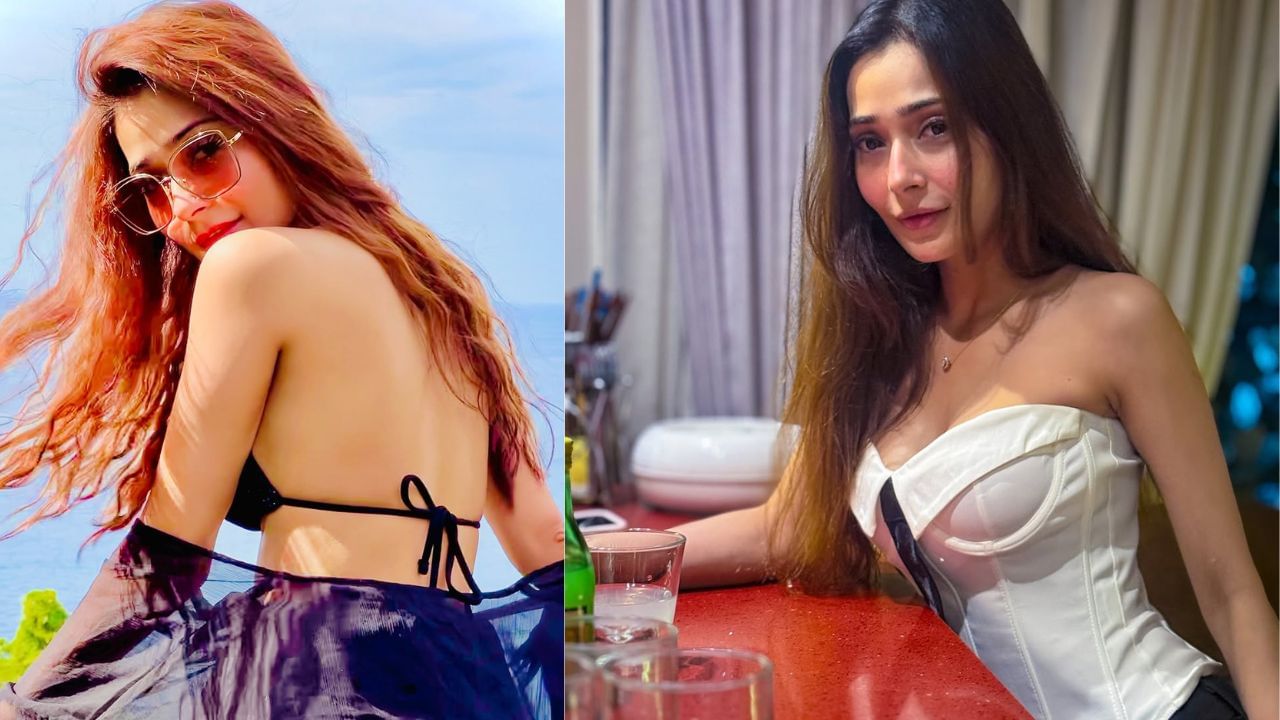 આ ઉપરાંત તે મિસ ભોપાલ 2007 જીતી હતી અને ITA એવોર્ડ અને ભારતીય ટેલી એવોર્ડ મેળવ્યો હતો.આ ઉપરાંત, તેના મ્યુઝિક વીડિયોમાં પણ જોવા મળે છે, જેના વિશે અપડેટ્સ સારા તેના ઇન્સ્ટાગ્રામ પર તેના ચાહકોને આપતી રહે છે.