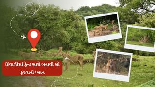 Travel tips : વનરાજનું વેકેશન પૂર્ણ અને પ્રવાસીઓનું વેકેશન શરુ, દિવાળીમાં ફ્રેન્ડ સાથે બનાવી લો ફરવાનો પ્લાન