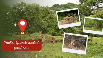 ગીર નેશનલ પાર્ક ગુજરાતમાં આવેલું જંગલ અને વન્યજીવ અભયારણ્ય છે. તેની સ્થાપના 1965માં કરવામાં આવી હતી. તે કુલ 1412 ચો.કી.મી. વિસ્તારમાં ફેલાયેલું છે.એવા પણ સમાચાર છે કે, રાષ્ટ્રપતિ દ્રૌપદી મૂર્મુ પણ ગીરની મુલાકાત લે તેવી શક્યતા છે.