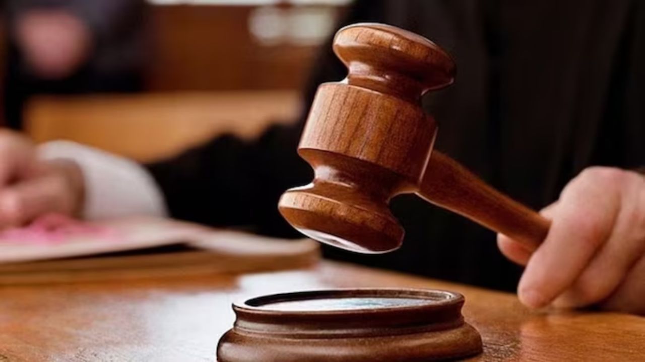 Section 19, High Court Appeal