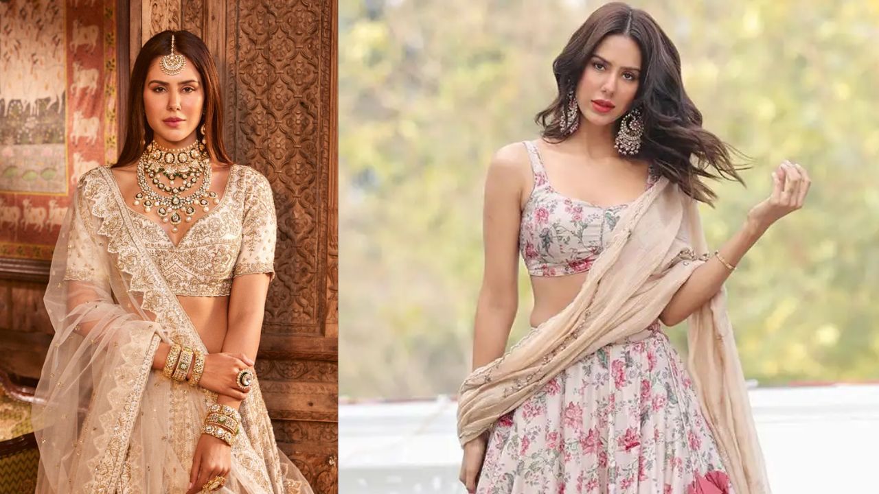 સોનમે તેની પહેલી ફિલ્મથી ઈન્ડસ્ટ્રીનીમાં પ્રભુત્વ મેળવ્યું છે. સોનમની ત્રણ ફિલ્મો ફક્ત એક જ વર્ષમાં રિલીઝ થઈ છે.