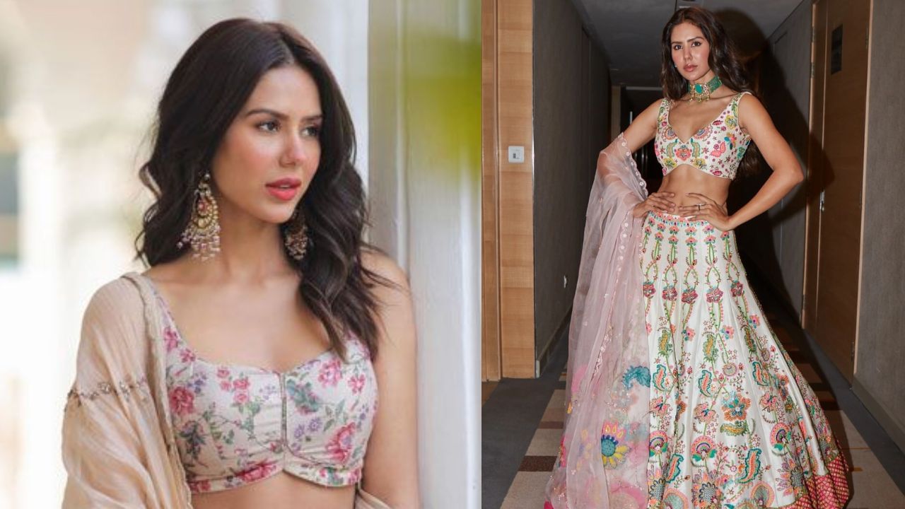 બોલિવૂડ પહેલા, સોનમે ઘણી પંજાબી ફિલ્મોમાં કામ કર્યું હતું. તેણીએ ફિલ્મ બેસ્ટ ઓફ લકથી પંજાબી ઉદ્યોગમાં પ્રવેશ કર્યો હતો. ગિપ્પી ગ્રેવાલ અને જાઝી બી બેસ્ટ ઓફ લકમાં સોનમ બાજવા સાથે મુખ્ય ભૂમિકામાં જોવા મળ્યા હતા. સોનમ તેની પહેલી પંજાબી ફિલ્મથી સ્ટાર બની હતી.